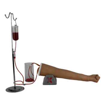 Entrenador anatómico Brazo intravenoso IV